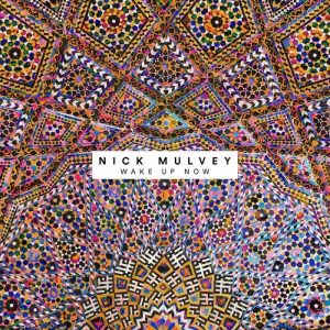 nick-mulvey-wake-up-now-artwork