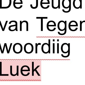 De Jeugd Van Tegenwoordig Leuk Luek album